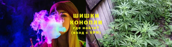 spice Дмитровск
