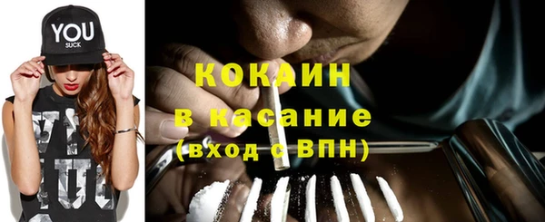 ПСИЛОЦИБИНОВЫЕ ГРИБЫ Дмитриев