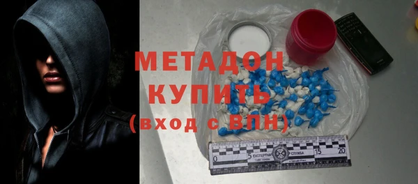 ПСИЛОЦИБИНОВЫЕ ГРИБЫ Дмитриев