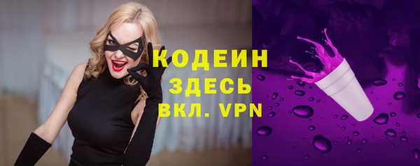 ПСИЛОЦИБИНОВЫЕ ГРИБЫ Дмитриев