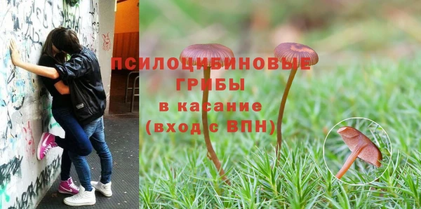 ПСИЛОЦИБИНОВЫЕ ГРИБЫ Дмитриев
