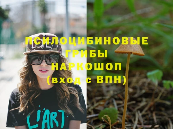 spice Дмитровск