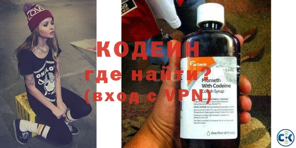 ПСИЛОЦИБИНОВЫЕ ГРИБЫ Дмитриев