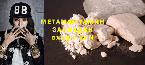 ПСИЛОЦИБИНОВЫЕ ГРИБЫ Дмитриев