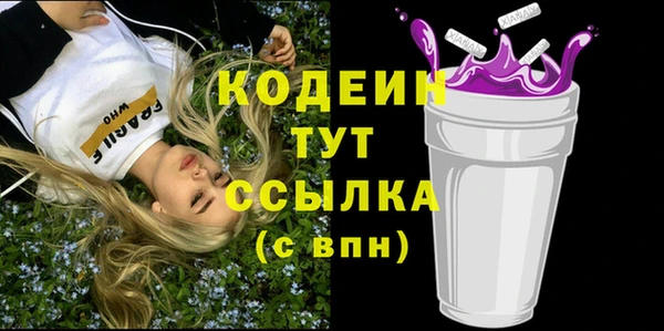 ПСИЛОЦИБИНОВЫЕ ГРИБЫ Дмитриев