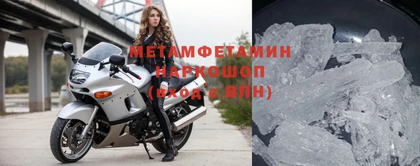 ПСИЛОЦИБИНОВЫЕ ГРИБЫ Дмитриев