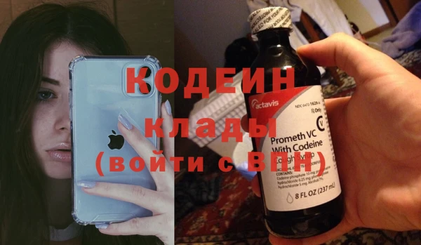 ПСИЛОЦИБИНОВЫЕ ГРИБЫ Дмитриев