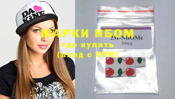 ПСИЛОЦИБИНОВЫЕ ГРИБЫ Дмитриев