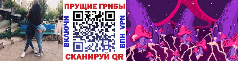 сайты даркнета официальный сайт  купить наркотики цена  Северск  Псилоцибиновые грибы GOLDEN TEACHER 